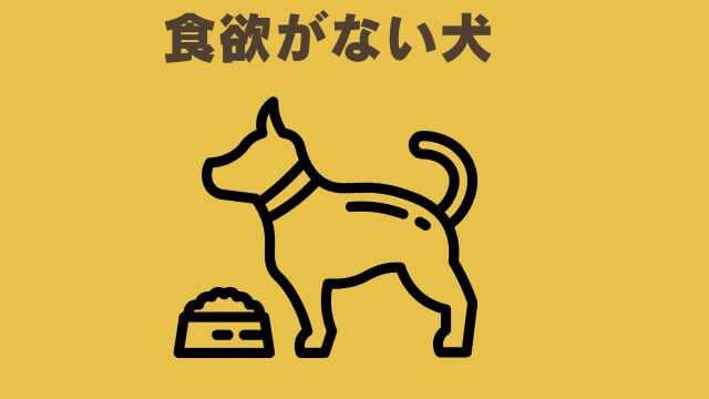 Paw'sドッグフード