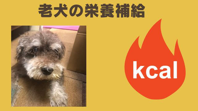 Paw'sドッグフード