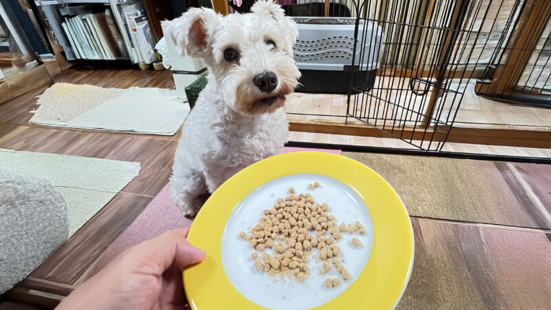 Paw'sドッグフード