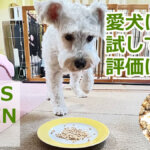 PAW'Sドッグフード
