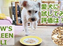 PAW'Sドッグフード