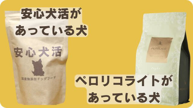 安心犬活とペロリコライト