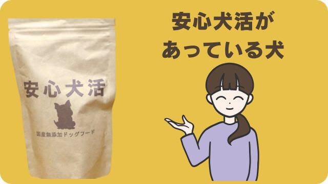 安心犬活とペロリコライト