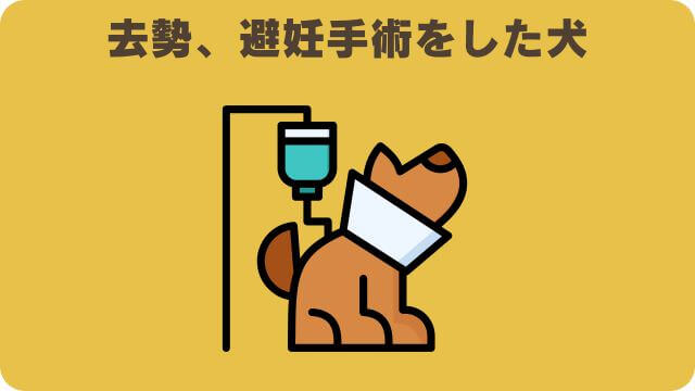 安心犬活とペロリコライト