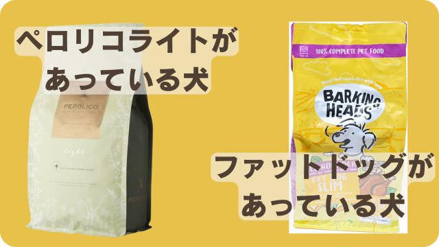 ペロリコライトとバーキングヘッズ ファット ドッグ