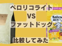 ペロリコライトとバーキングヘッズ ファット ドッグ