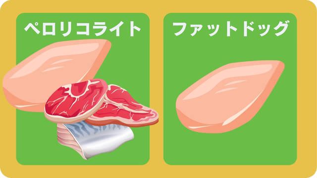 ペロリコライトとバーキングヘッズ ファット ドッグ