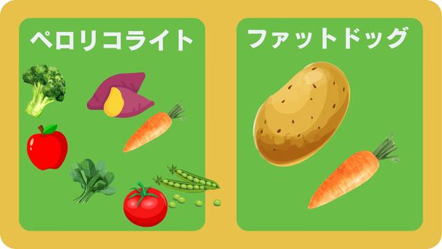 ペロリコライトとバーキングヘッズ ファット ドッグ