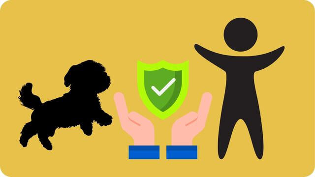 ペロリコライトとバーキングヘッズ ファット ドッグ