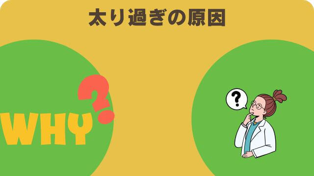 ペロリコライトとバーキングヘッズ ファット ドッグ