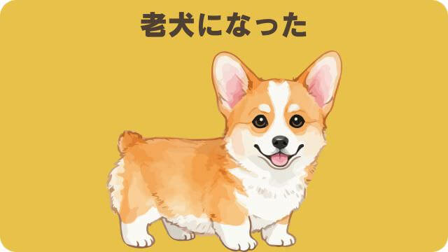 ペロリコライトとバーキングヘッズ ファット ドッグ