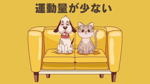 モグワンドッグフードとペロリコライト