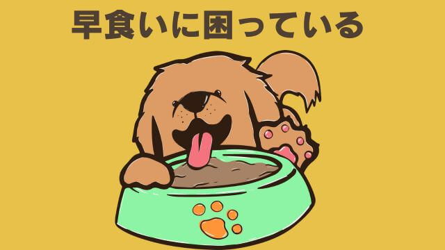 モグワンドッグフードとペロリコライト