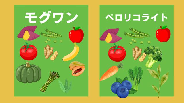 モグワンドッグフードとペロリコライト