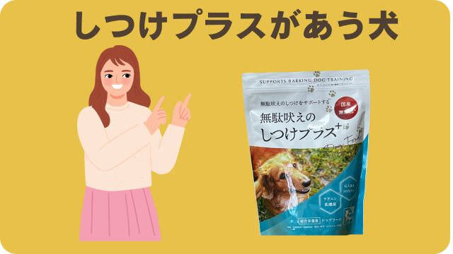 しつけプラスとペロリコライトドッグフード