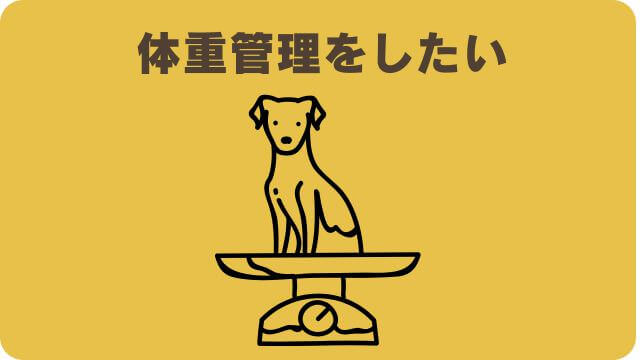 しつけプラスとペロリコライトドッグフード