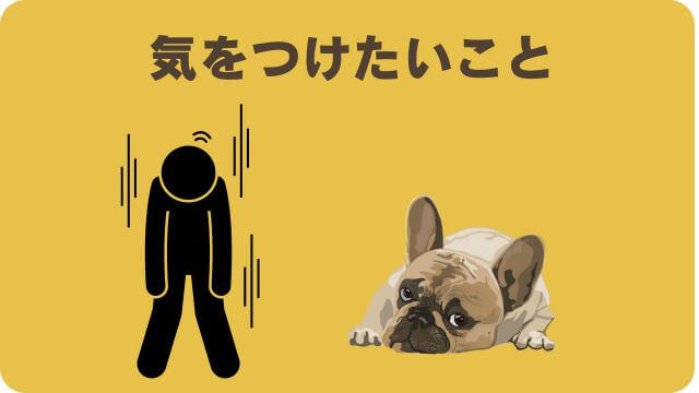 しつけプラスとペロリコライトドッグフード