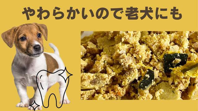 ペトコトビーフ