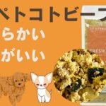 ペトコトフーズ