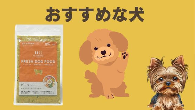 ペトコトビーフ