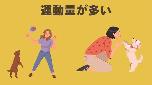 ペトコトビーフ