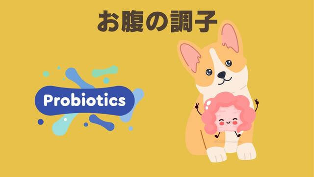ペトコトビーフ