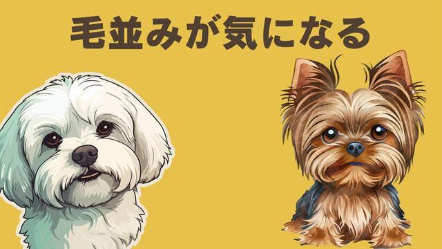 ペトコトビーフ