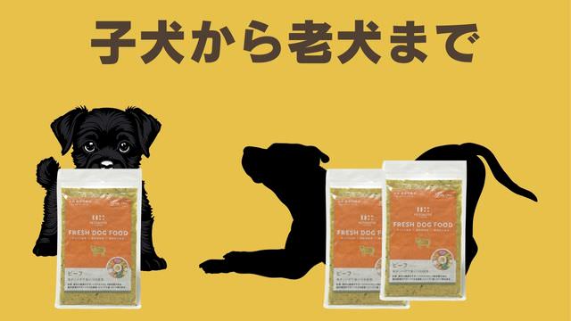 ペトコトビーフ