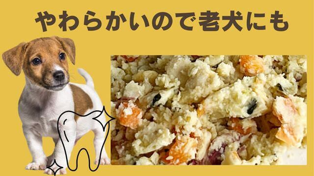 ペトコトフーズチキン