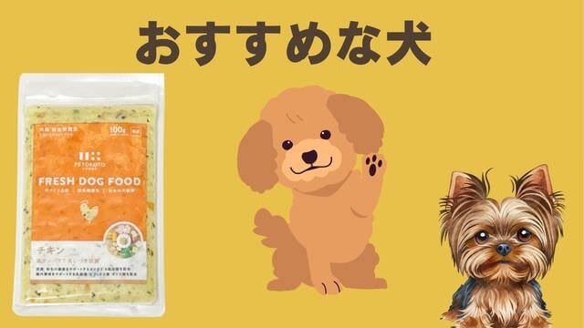 ペトコトフーズチキン