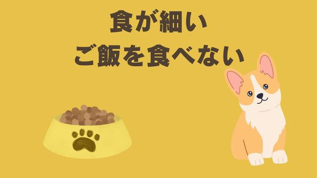 ペトコトフーズチキン