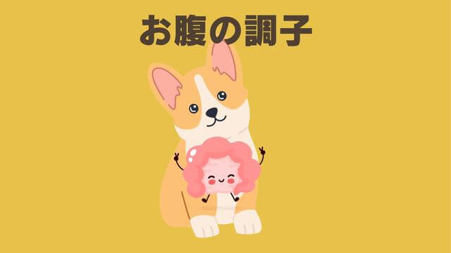 ペトコトフーズチキン