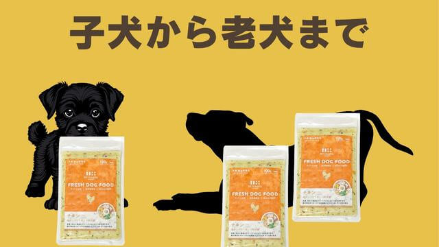 ペトコトフーズチキン