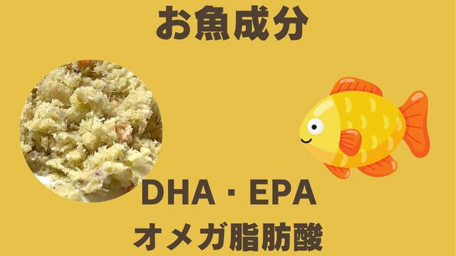 ペトコトフィッシュ
