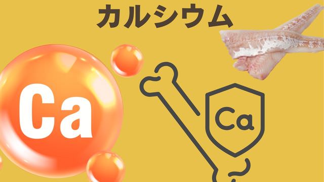 ペトコトフィッシュ
