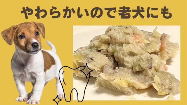ペトコトフィッシュ