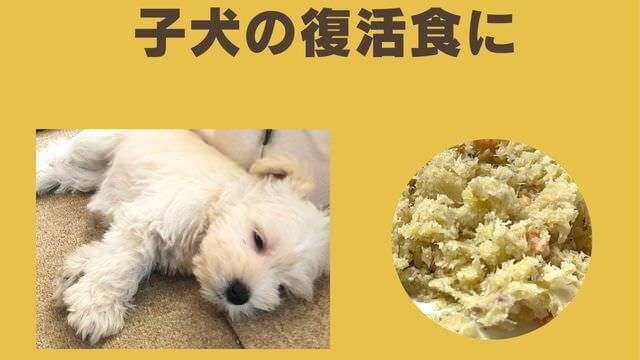ペトコトフィッシュ