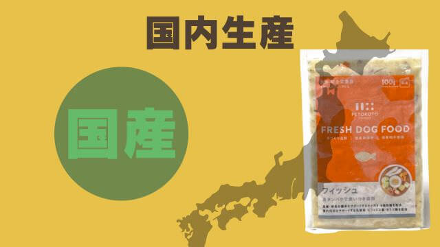 ペトコトフィッシュ