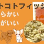 ペトコトフーズ