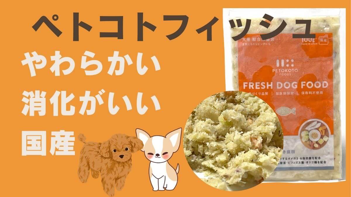 ペトコトフーズ