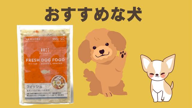 ペトコトフィッシュ