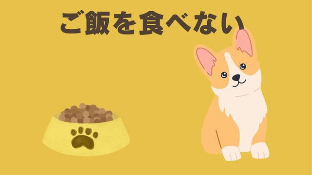 ペトコトフィッシュ