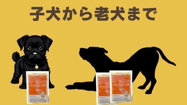 ペトコトフィッシュ