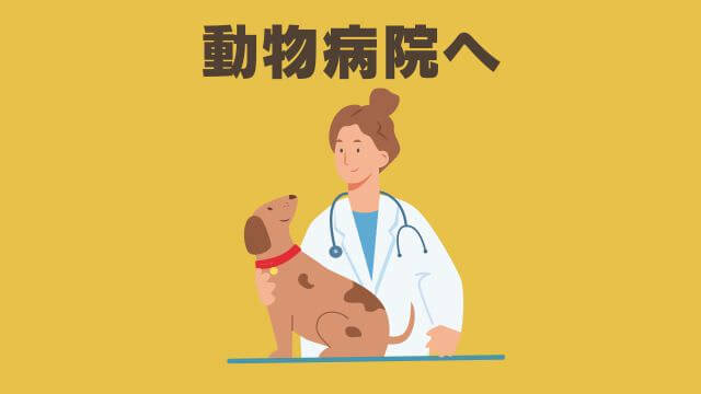 ペトコトフィッシュ