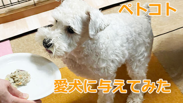 ペトコトフーズ