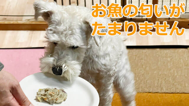 ペトコトフーズ