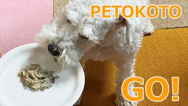 ペトコトフーズ