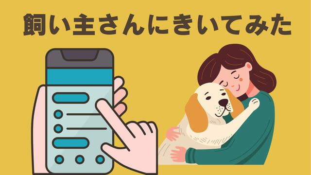 ペトコトフーズ