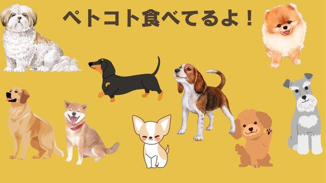 ペトコトフーズ