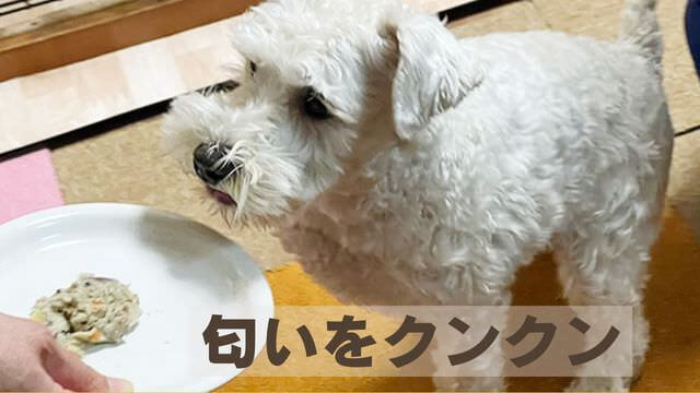 ペトコトフーズ